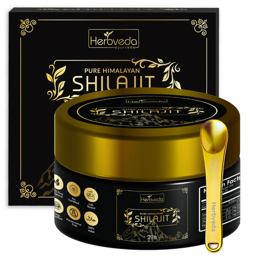 Himalayan Shilajit 30 G